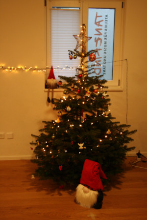 Tannenbaum im TANZKIND